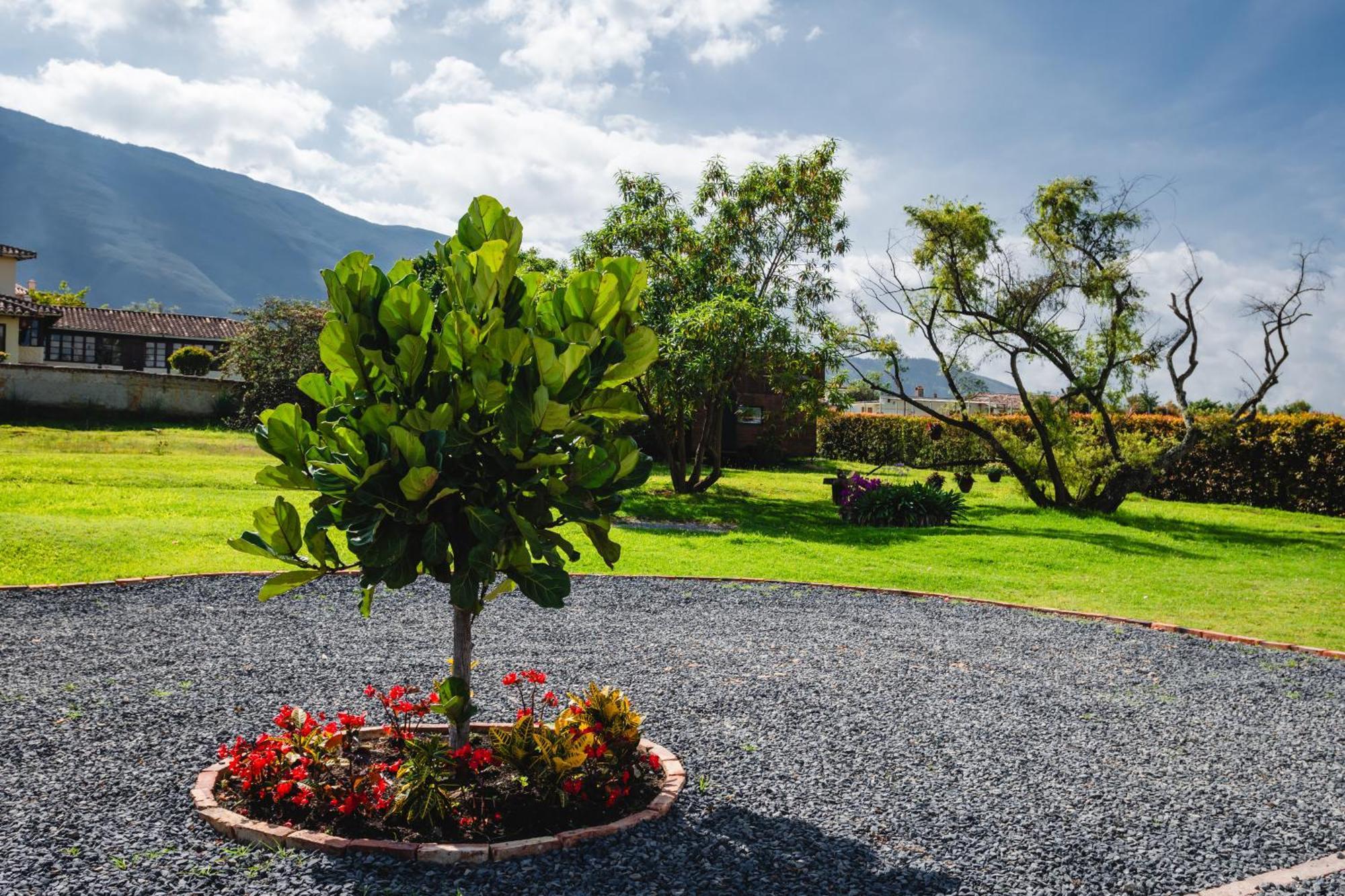 Casa De Las Flores Villa de Leyva Εξωτερικό φωτογραφία